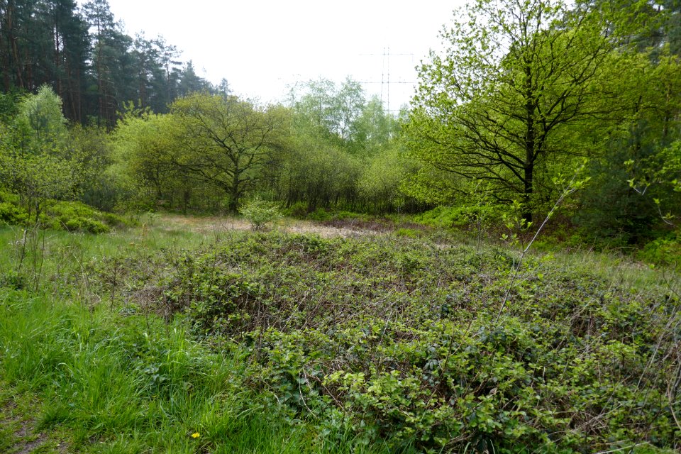 Bielefeld - NSG Markengrund - 08