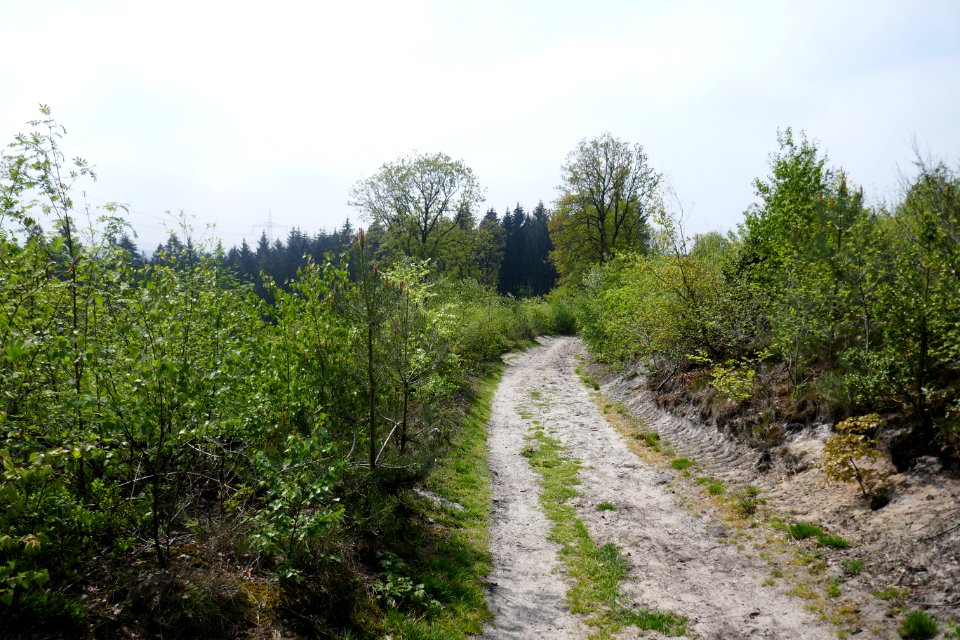 Bielefeld - NSG Markengrund - 17