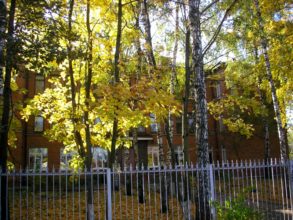 Bikovo school 2