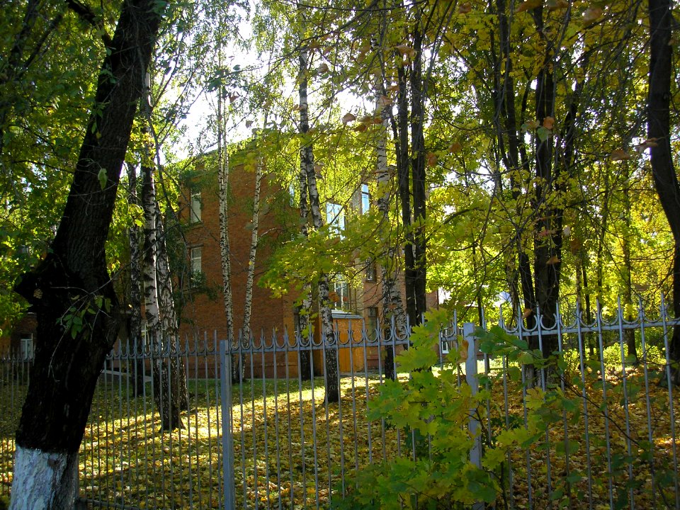 Bikovo school 3