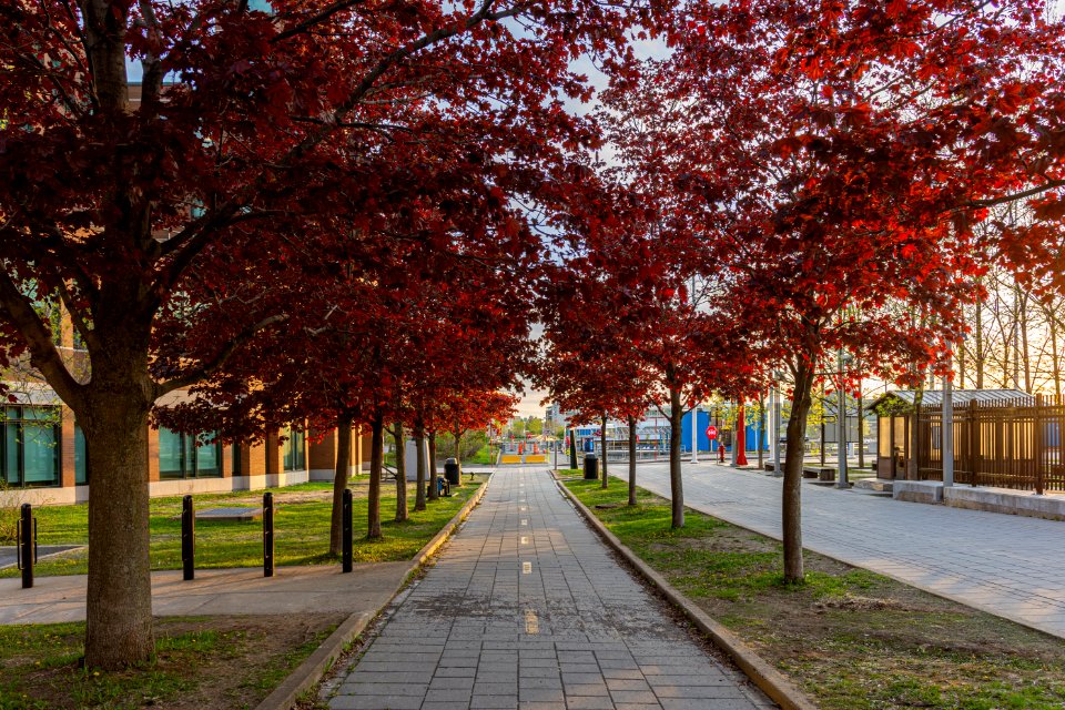 Bikeways in Quebec city downtown