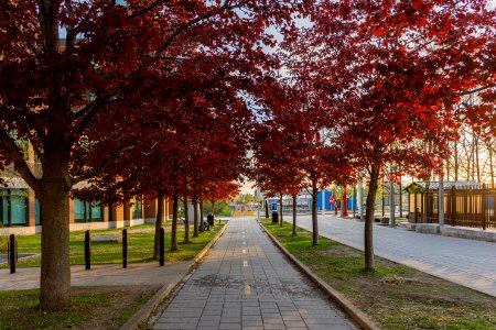 Bikeways in Quebec city downtown