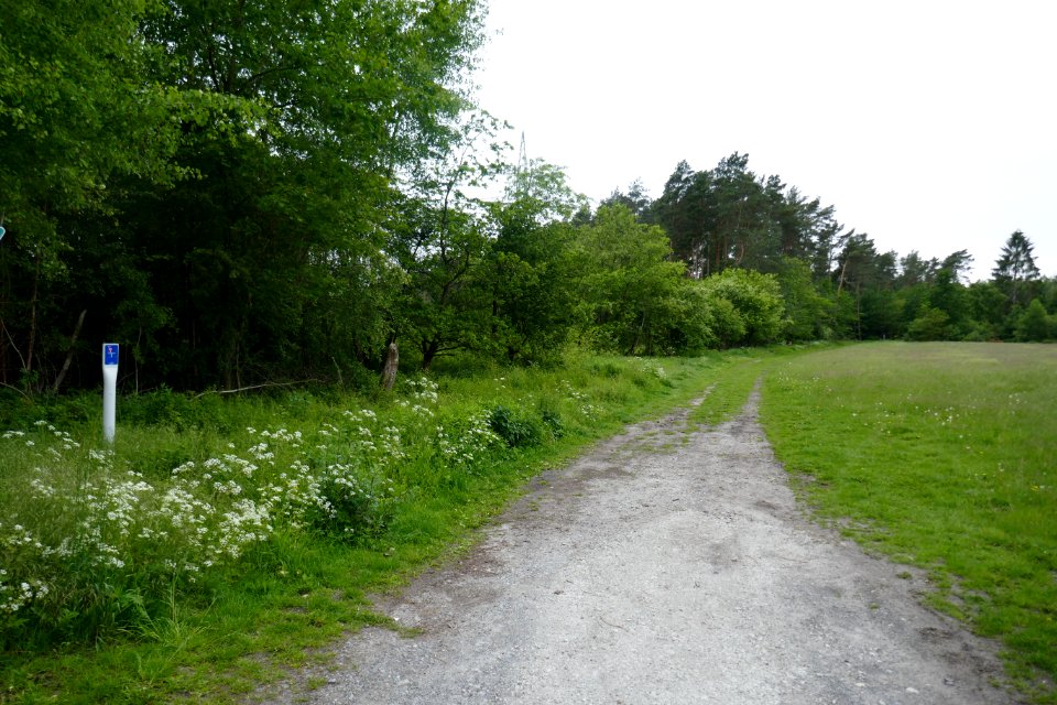 Bielefeld - NSG Südkamp - 2