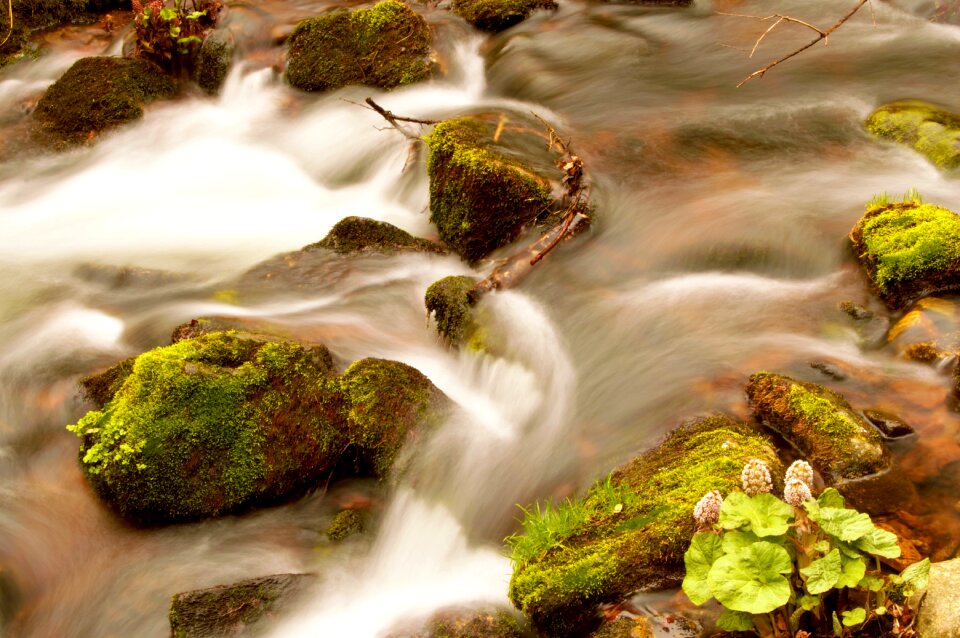Nature water long exposure
