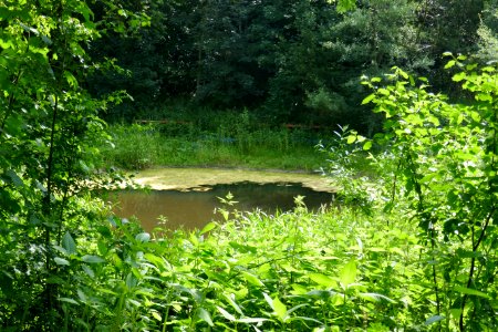 Bielefeld - Waterboer - 3