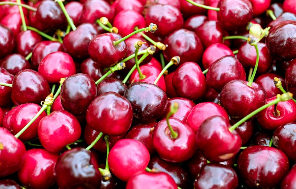 Fruit fruity delicious