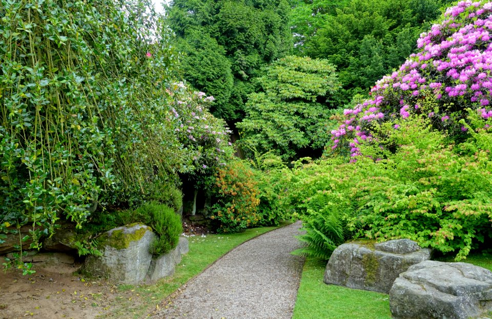 Biddulph Grange Garden - Staffordshire, England - DSC09147
