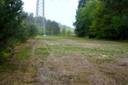 Bielefeld - NSG Markengrund - 04