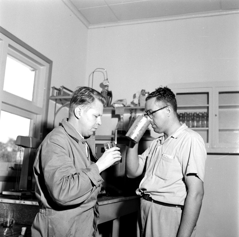 Bierproeven in het laboratorium van de Surinaamse Brouwerij in Paramaribo, Bestanddeelnr 252-5050