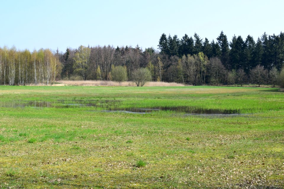 Bielefeld - NSG Rieselfelder Windel - 18