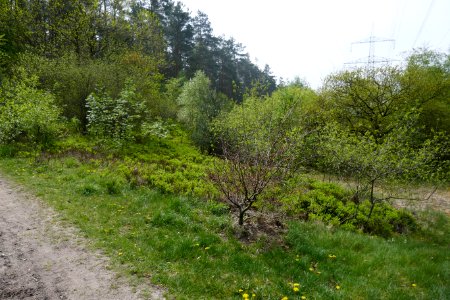 Bielefeld - NSG Markengrund - 09