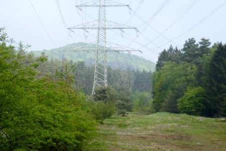 Bielefeld - NSG Markengrund - 02