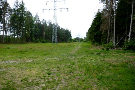 Bielefeld - NSG Südkamp - 3