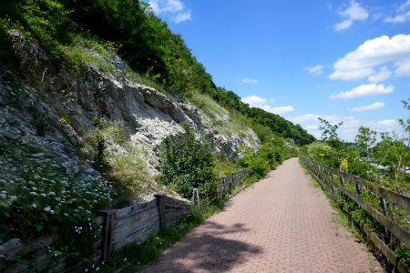 Bielefeld - Radweg entlang des Ostwestfalendamms - 1