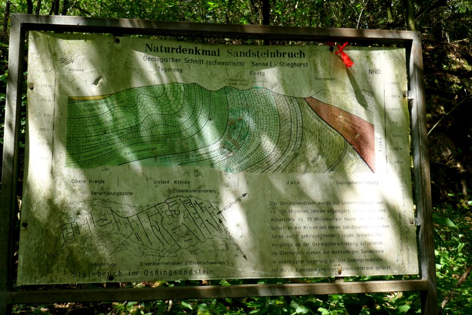 Bielefeld - Sandsteinbruch in der Kahlen Egge - 5