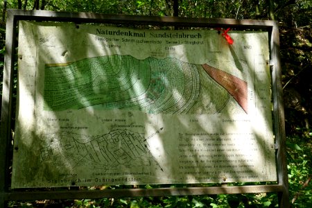 Bielefeld - Sandsteinbruch in der Kahlen Egge - 5