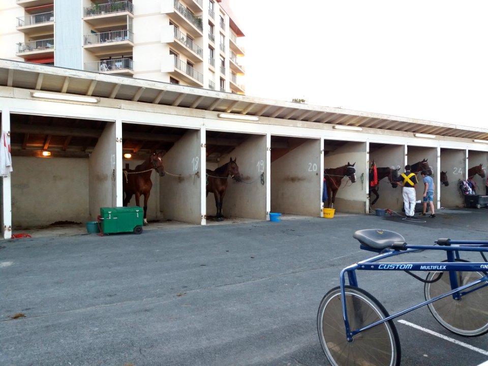 Biarritz - Hippodrome des Fleurs - Paddock