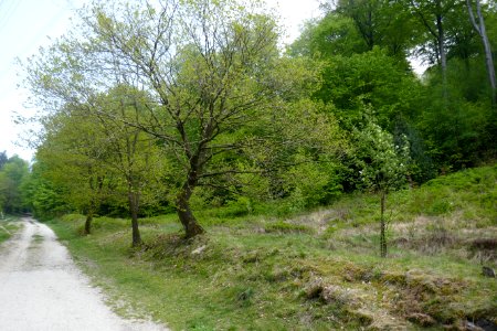 Bielefeld - NSG Markengrund - 10