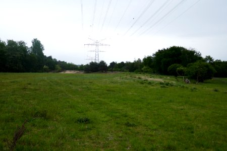 Bielefeld - Ostkamp - Sanddüne - 1