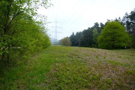 Bielefeld - NSG Markengrund - 01