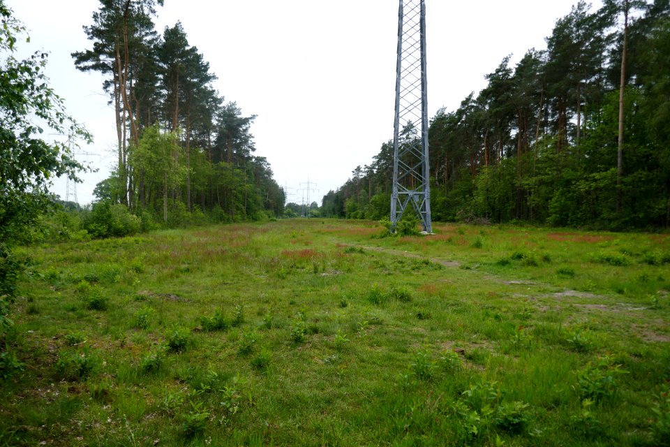 Bielefeld - NSG Südkamp - 1