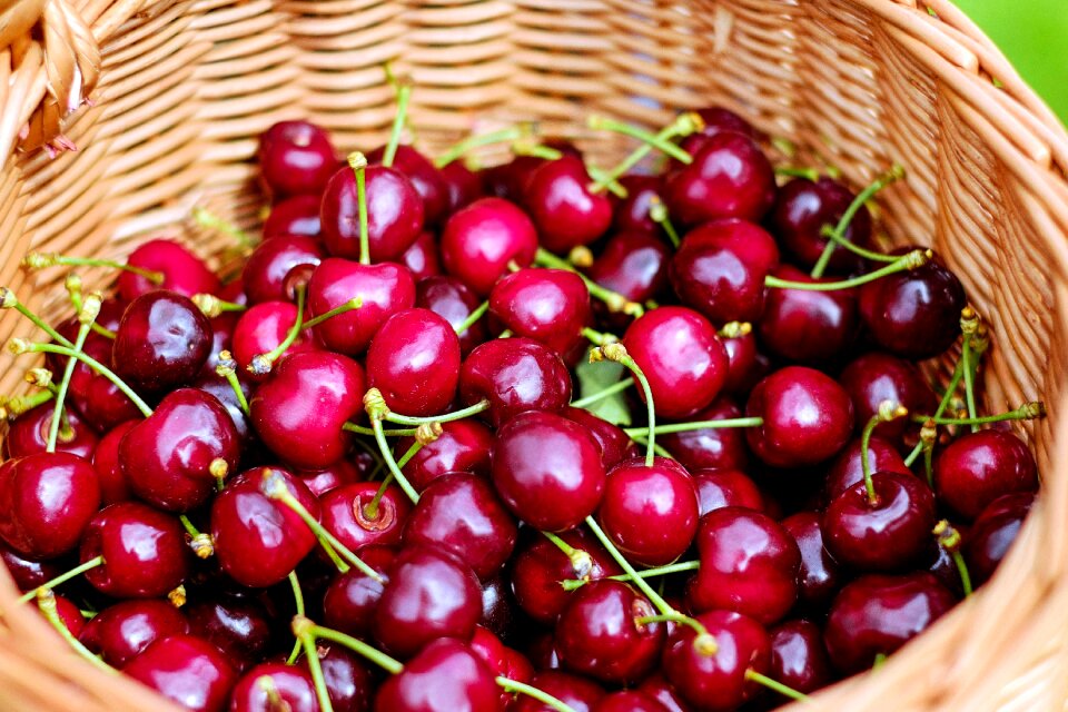 Fruit healthy basket