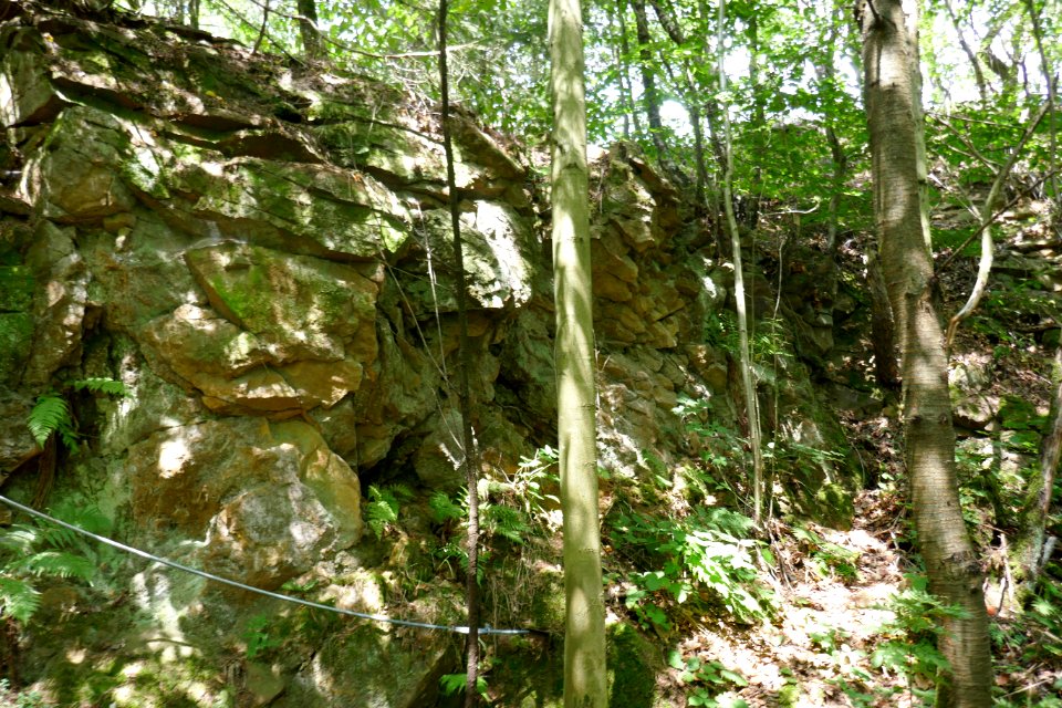 Bielefeld - Sandsteinbruch in der Kahlen Egge - 4