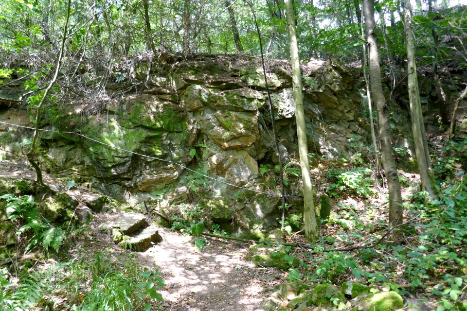 Bielefeld - Sandsteinbruch in der Kahlen Egge - 2