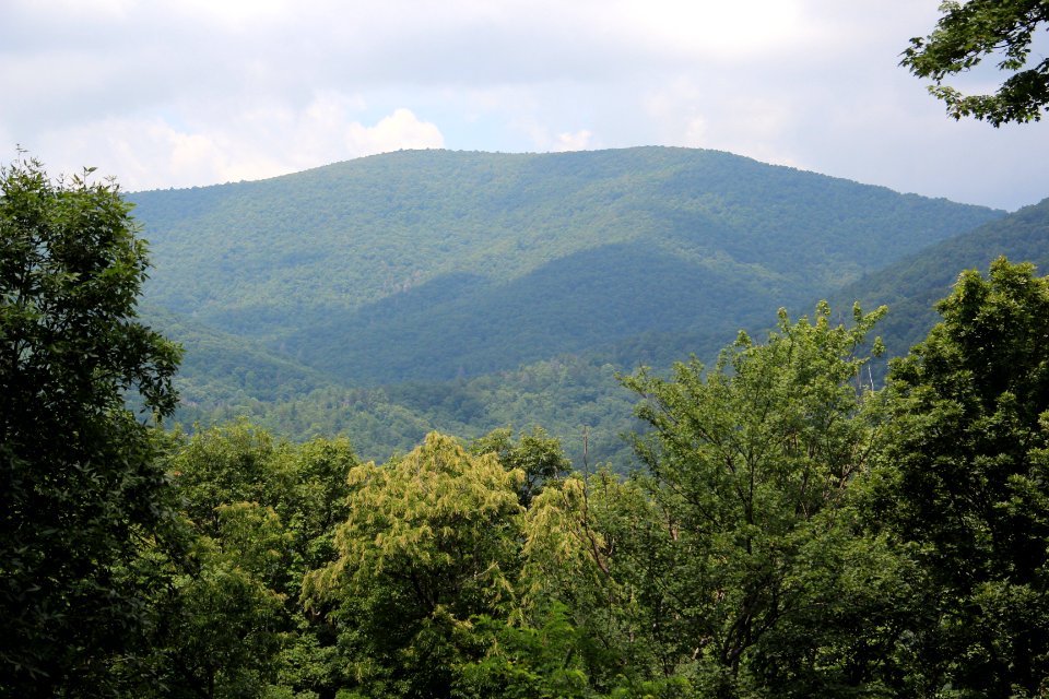 Big Bald Mountain, Georgia 2