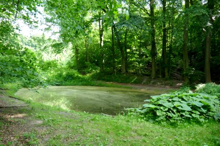 Bielefeld - Waterboer - 2