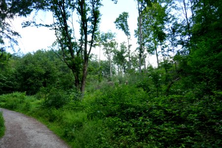 Bielefeld - Teutoburger Wald (LP BI-Ost) - 2
