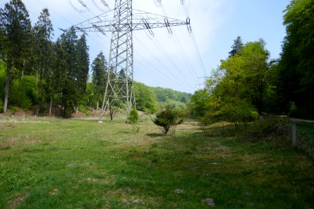 Bielefeld - NSG Markengrund - 11