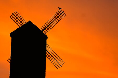 Silhouette sunset evening