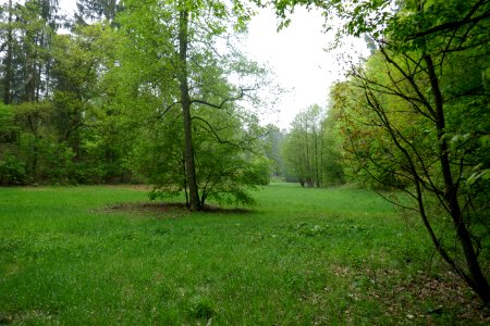 Bielefeld - NSG Sprungbach Oberlauf - 02