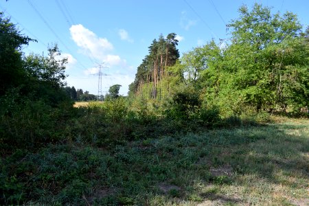 Bielefeld - NSG Südkamp - 8