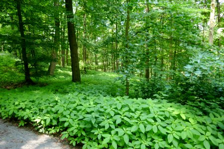 Bielefeld - Teutoburger Wald (LP BI-Ost) - 3