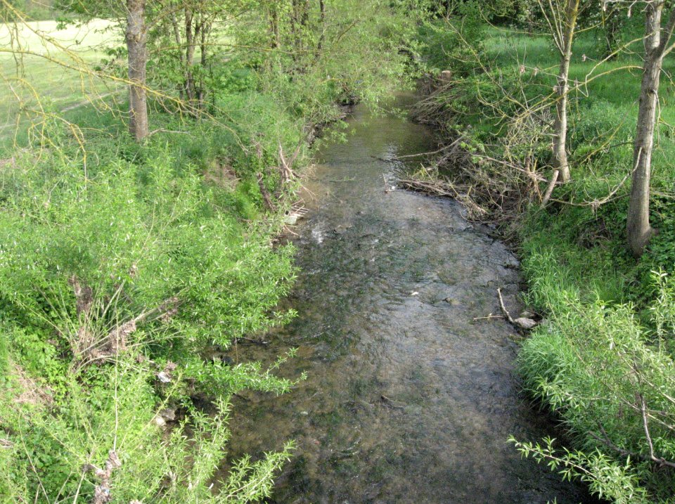 Bibers 200 m vor ihrer Mündung in den Kocher bei Rosengarten-Westheim, Blick flussabwärts