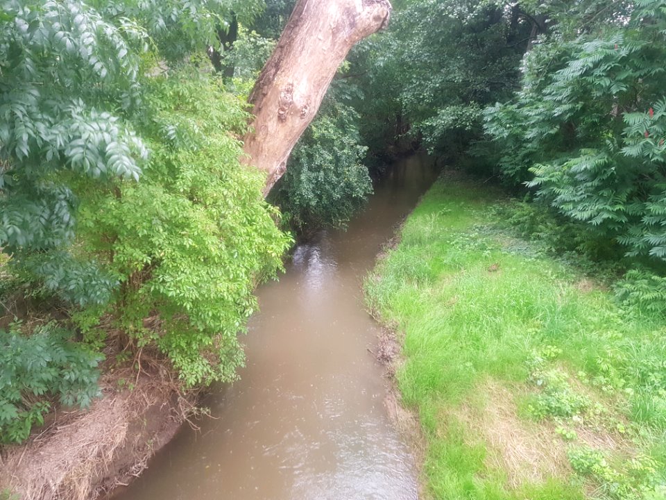 Biała Woda, Krzanowice