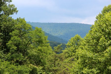 Big Bald Mountain, Georgia