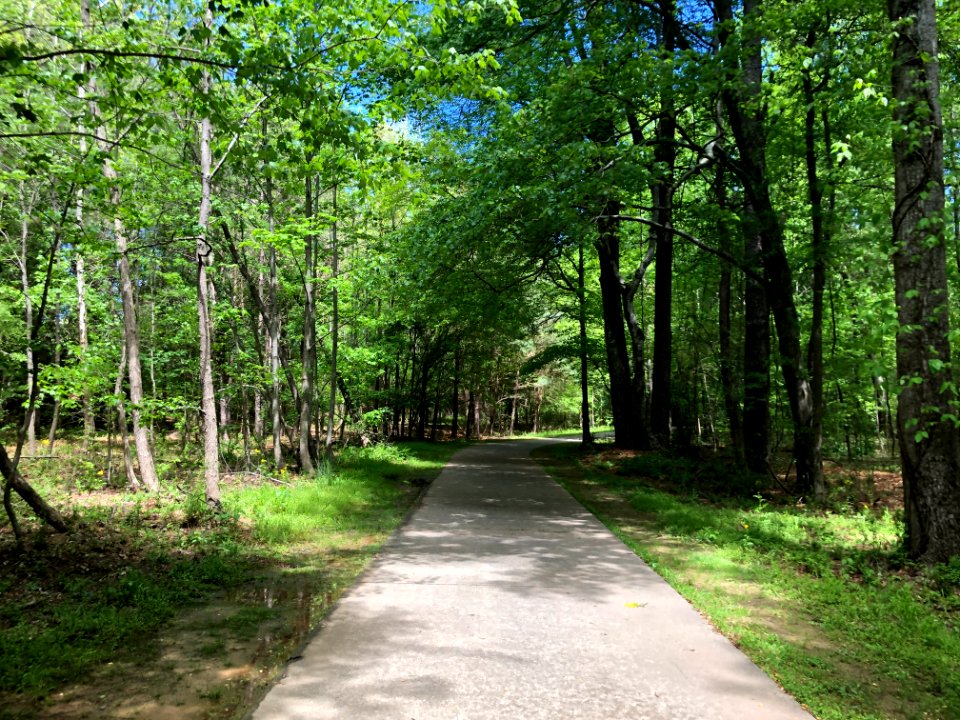 Big Creek Greenway, April 2021