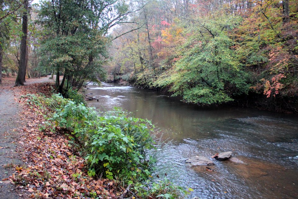 Big Creek along Oxbo Trail, Roswell, GA Nov 2017