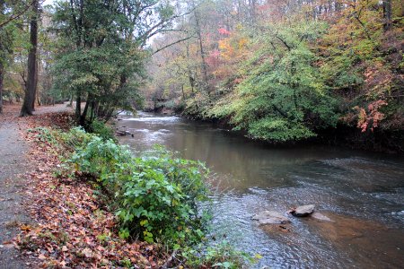 Big Creek along Oxbo Trail, Roswell, GA Nov 2017