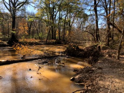 Big Creek, Alpharetta, GA Nov 2020
