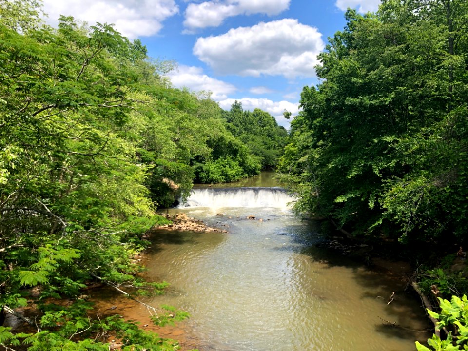 Big Creek from Oxbo Trail, May 2021 2
