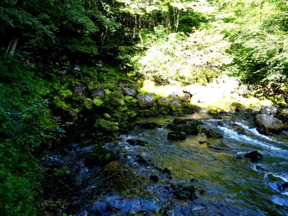 BiH Pliva springs 2