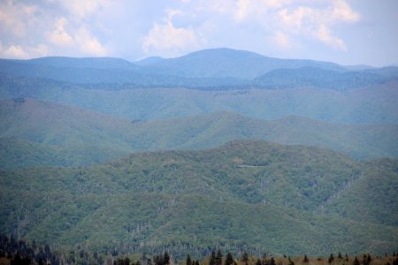 Big Cataloochee Mountain viewed from Clingmans Dome, May 2017