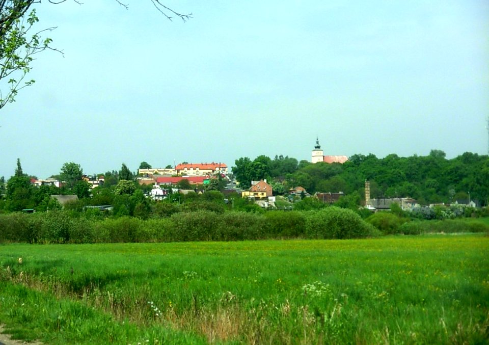 Białośliwie 2012