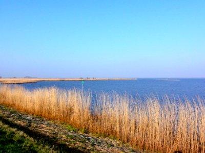 Biezenvelden Zwarte Meer