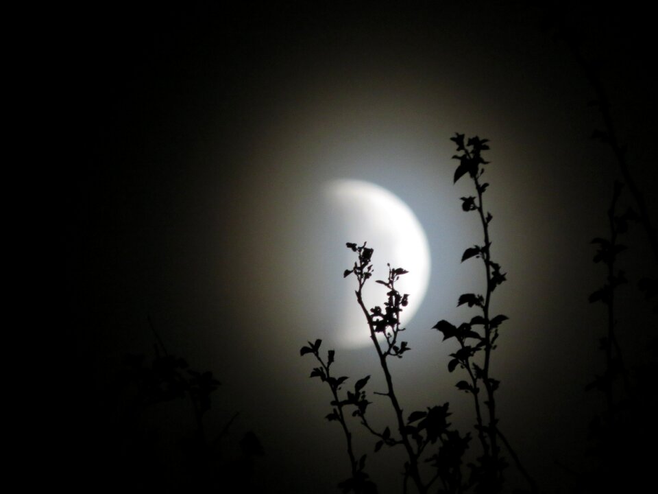 Moonlight celestial astronomy