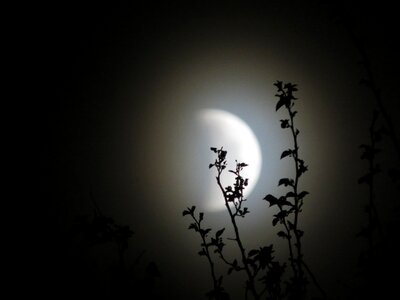 Moonlight celestial astronomy